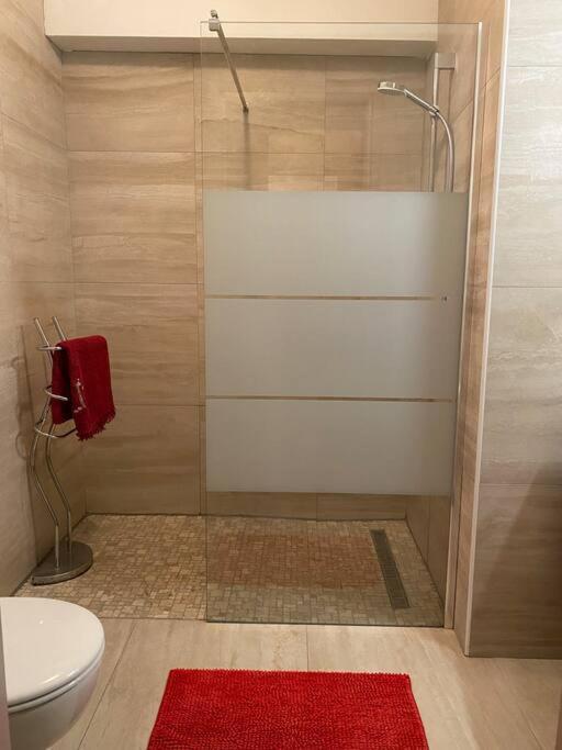 Charmant Appartement Renove Au Coeur Du Village Saint-Martin-Vesubie Exterior photo